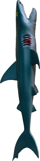 weirdhead the shark