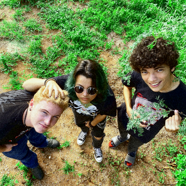 picture of the band